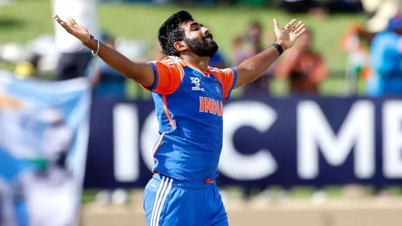 T20exchange, T20 Exchange. ipl 2025, IPL Betting